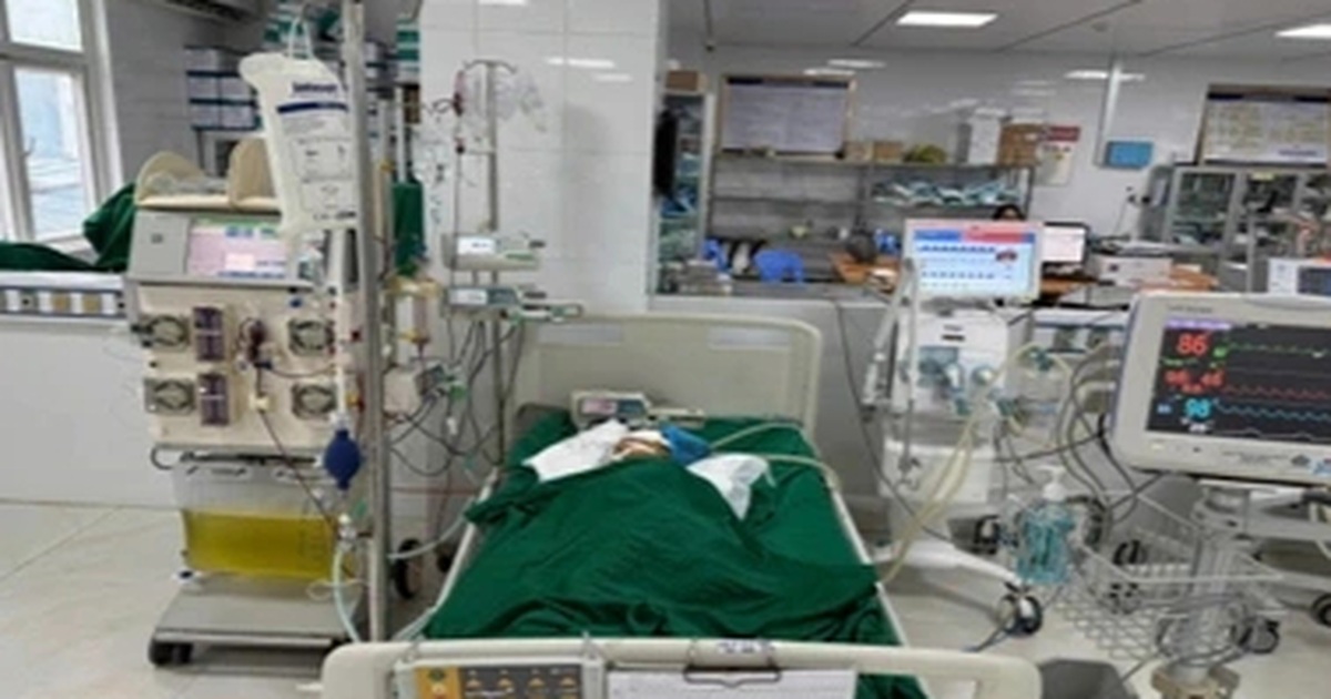 Bé gái 9 tuổi thoát chết thần kỳ sau khi bị ong vò vẽ đốt hơn 50 nốt