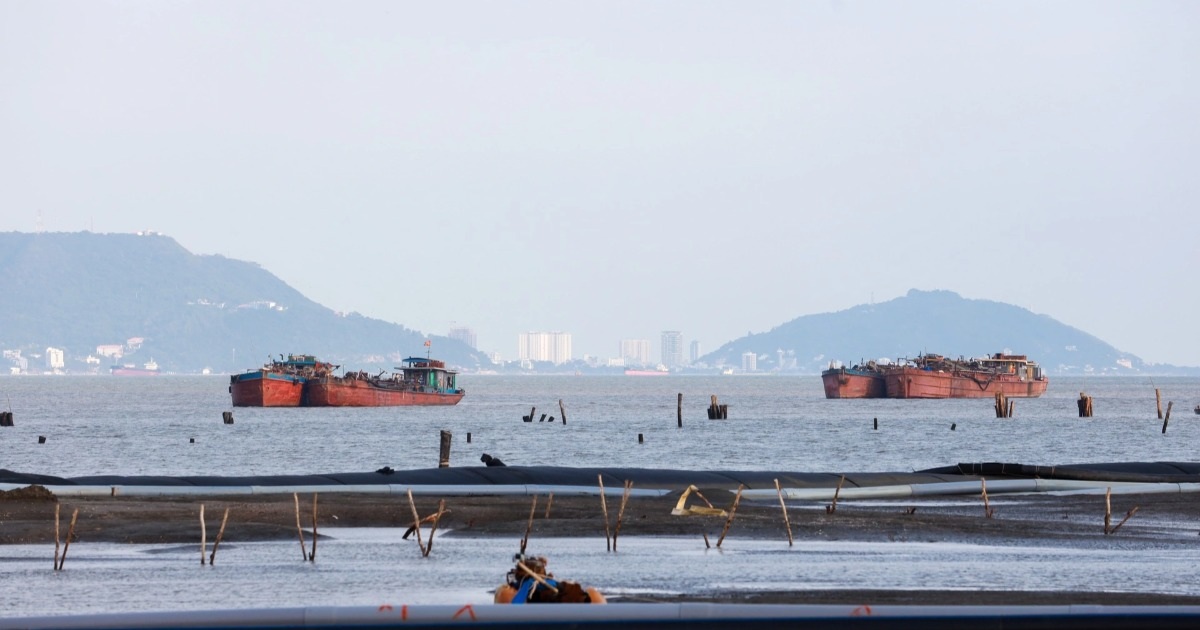 Thanh tra Chính phủ kiểm tra chống khai thác hải sản bất hợp pháp tại TPHCM